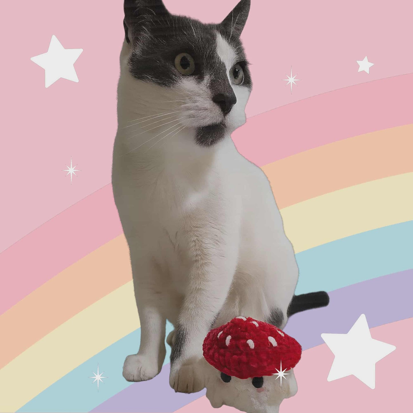 πππΎ Kuci Crochet Mushroom baby πΎππ